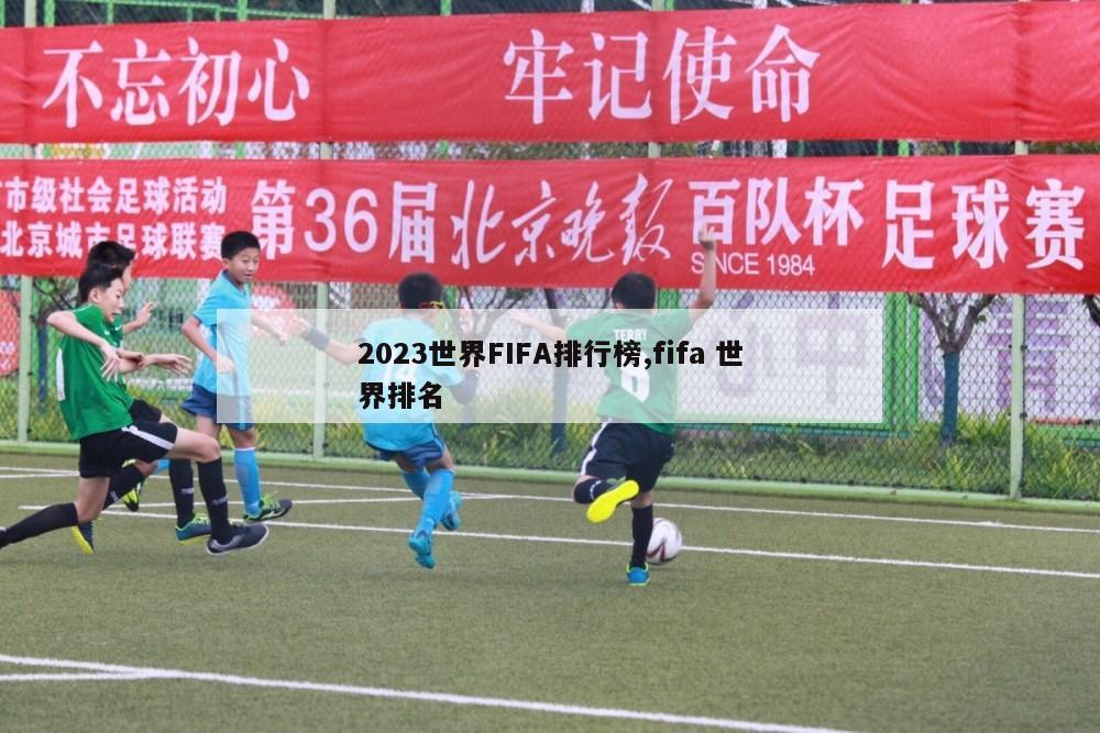 2023世界FIFA排行榜,fifa 世界排名